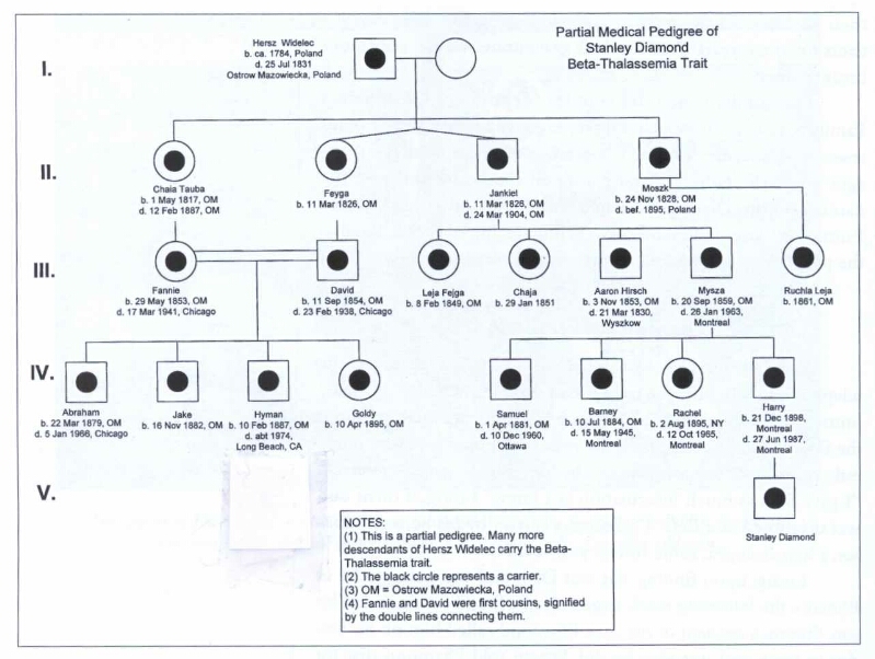 3 generation genogram template